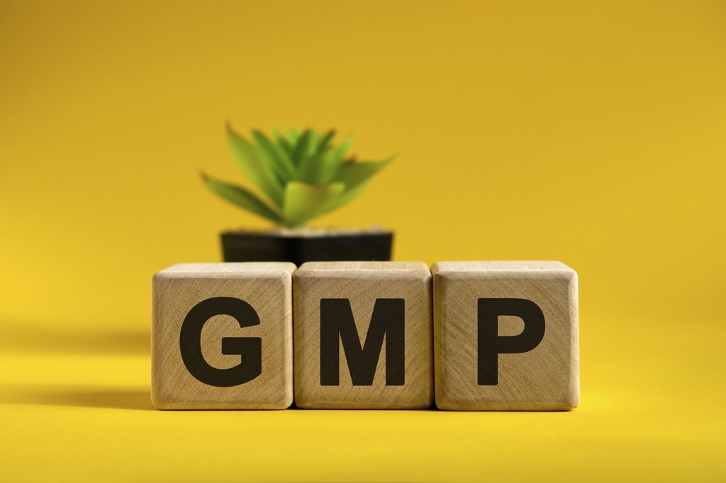 Good Manufacturing Practices (GMP) in the Food Industry