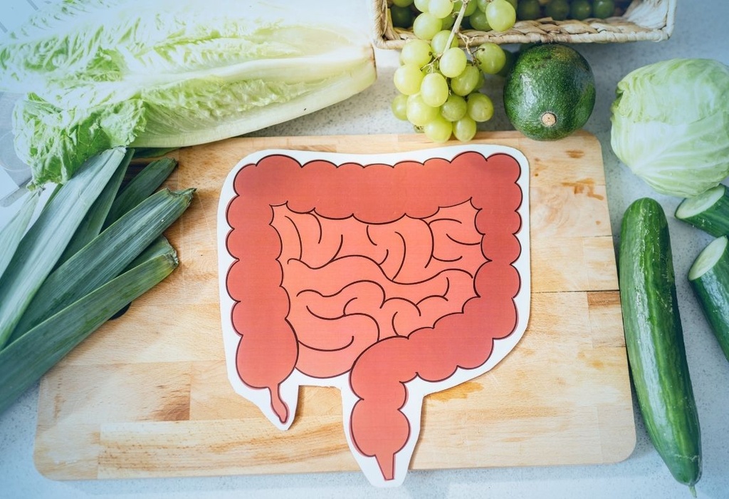 Free Online Course on Stomach Digestion and Detoxification